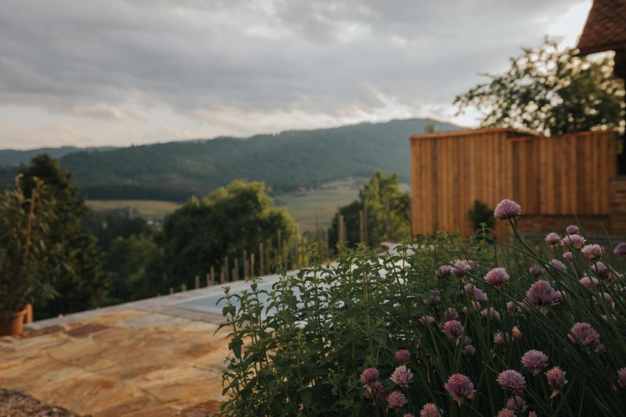 Am Wildbachberg - Luxus Ferienhaeuser Mit Infinitypool, Privatsauna Und Weinkeller Deutschlandsberg Esterno foto